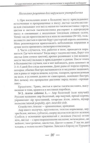 Лекарственные растения и способы их применения в народе - фото 5