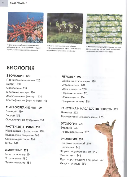 Настольная энциклопедия современного школьника - фото 4