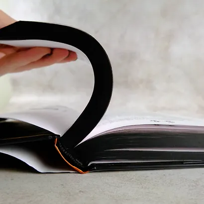 Царство Греха - фото 13