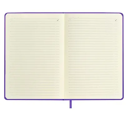 Ежедневник недат. А6+ 120л 126х174 "Наппа" ПРУД , иск.кожа, мягкий переплет, тиснение фольгой, офсет, ляссе - фото 10