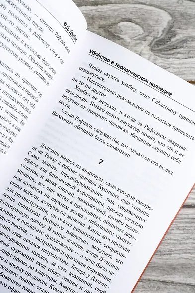 Убийство в теологическом колледже: роман - фото 12