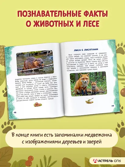 Первые уроки медвежонка - фото 6