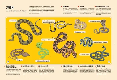 Животные - фото 9