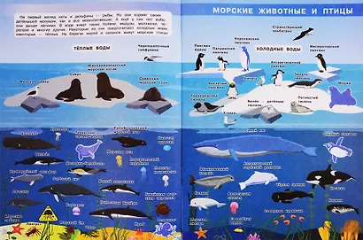 Мой первый атлас. Тайны мирового океана (с наклейками) - фото 4