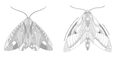 В царстве животных. Книга для творчества и вдохновения - фото 7