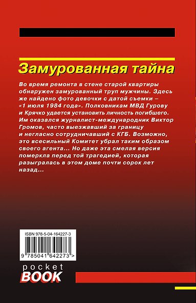 Замурованная тайна - фото 2