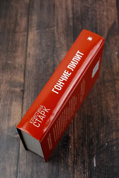 Гончие Лилит - фото 10