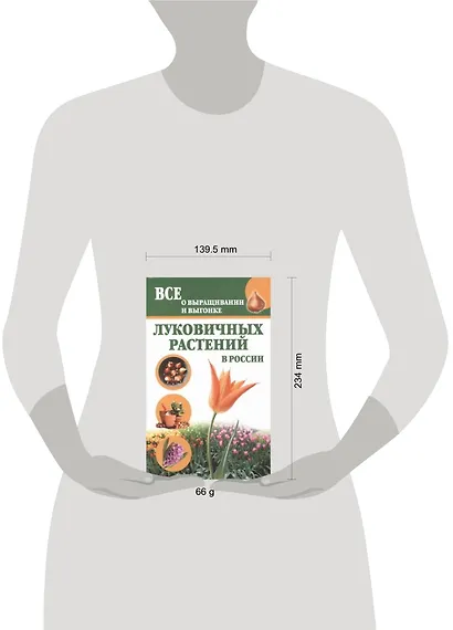 Луковичные растения.Все о выращивании - фото 2