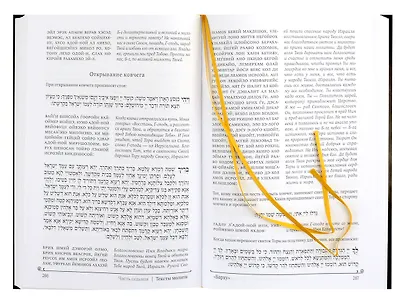 Книга габая - фото 6