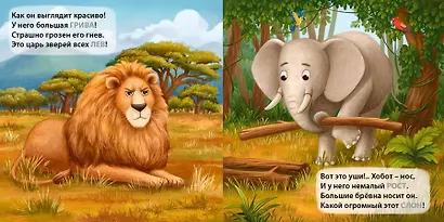 Дикие животные. Загадки-рифмы - фото 3