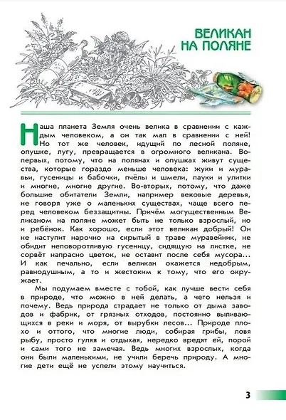 Плешаков. Великан на поляне, или Первые уроки экологической этики. /ШкР - фото 4