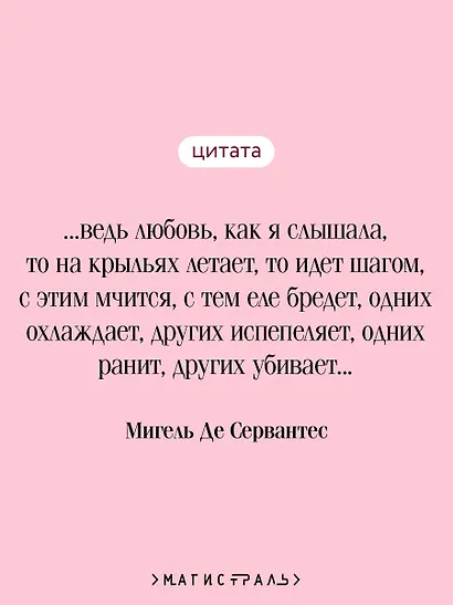 Дон Кихот. Часть I - фото 6