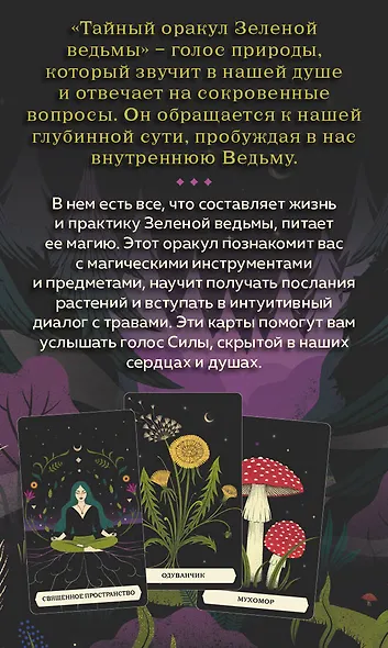 Тайный оракул Зеленой ведьмы (50 карт и руководство в подарочном оформлении) - фото 2