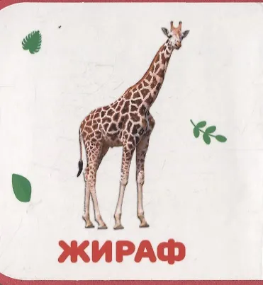 Дикие животные - фото 3