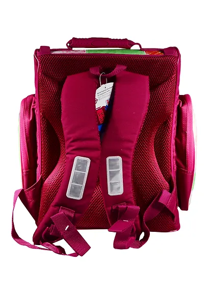 Ранец школьный "Очарование", ткань, поддержка спины, ассорти, Tiger - фото 2