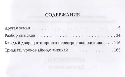 Летописец. Другая земля - фото 2