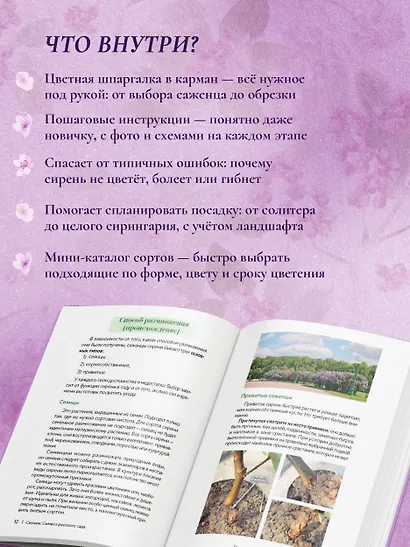 Сирень. Символ русского сада. Шпаргалка-трекер по посадке и уходу - фото 5