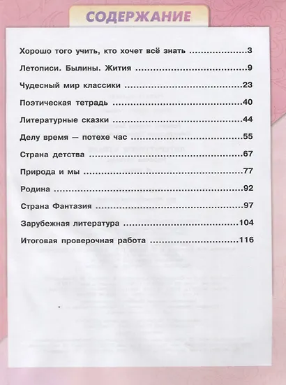 Бойкина. Литературное чтение. Рабочая тетрадь. 4 класс /ШкР - фото 2