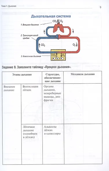 Анатомия человека. Спланхнология. Часть 5. Дыхательная система. Мочевыделительная система. Половая система. Тетрадь-практикум - фото 5