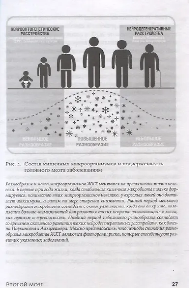 Второй мозг. Как микробы в кишечнике управляют нашим настроением, решениями и здоровьем - фото 6