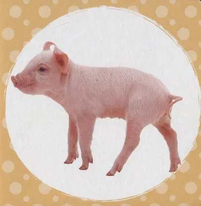 Кто как говорит? - фото 5