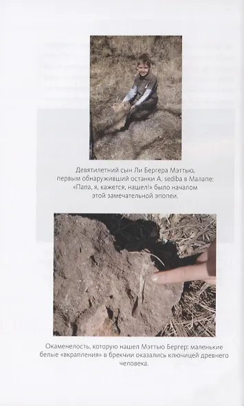Почти человек. Как открытие Homo naledi изменило нашу историю - фото 4