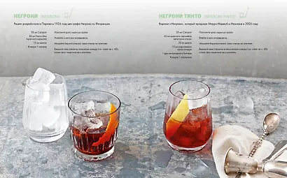 Практическая миксология. Девайсы. Техники. Ингредиенты - фото 7