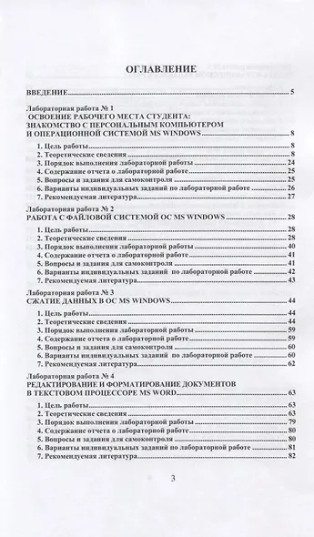 Информатика. Лабораторный практикум. Часть 1. Учебное пособие для вузов - фото 2