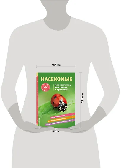 Насекомые. Мир крылатых, многоногих и жужжащих - фото 10