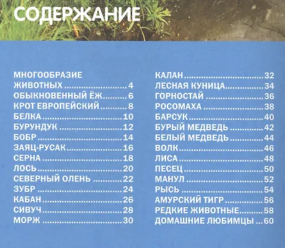 Животный мир России. Энциклопедия для детей - фото 2