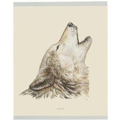 Тетрадь в клетку Listoff, "В мире животных", 48 листов, в ассортименте - фото 6