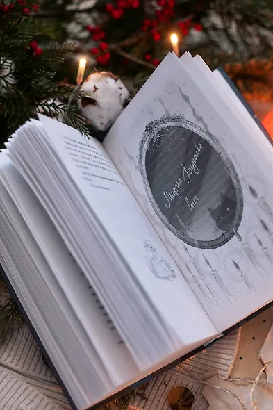 Шесть зимних ночей - фото 8