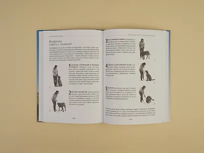 Дрессировка без наказания. 5 недель, которые сделают вашу собаку лучшей в мире - фото 9