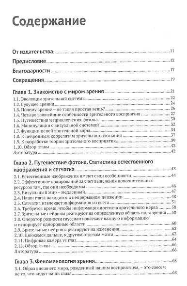 Биологическое и компьютерное зрение - фото 2