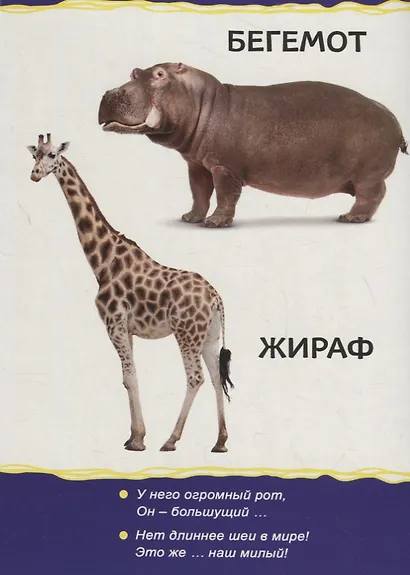 Животные зоопарка - фото 3