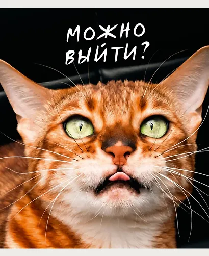 Тетрадь в клетку Listoff, "Котики", 96 листов - фото 4