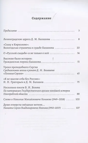 В ладье времени. Писатели Северо-Запада России и эпоха перемен - фото 2