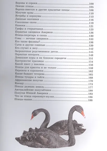 Птицы - фото 3