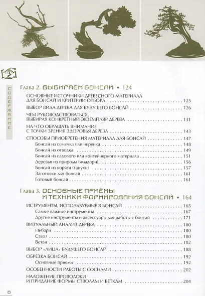 Бонсай. Маленькие деревья для большой радости - фото 3