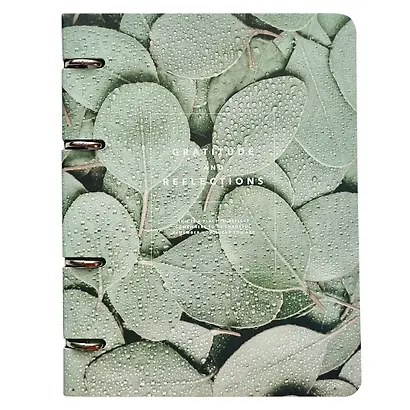 Тетрадь на кольцах в клетку Be Smart, "Botanica. Эвкалипт популус", 120 листов - фото 1