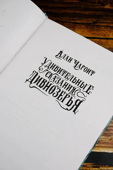 Удивительные сказания Дивнозёрья - фото 9