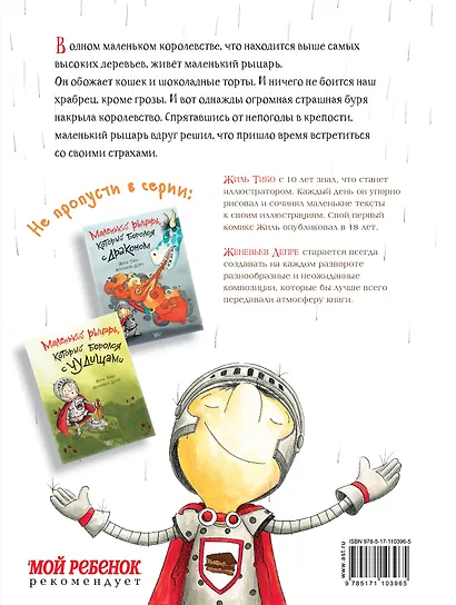 Маленький рыцарь, который боролся с непогодой - фото 2