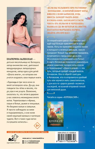 Котовасия. Дорога домой - фото 2