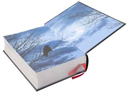 The Complete Tales and Poems of Edgar Allan Poe (Edgar Allan Poe) Полное собрание прозы и стихов Эдгара Аллана По /Книги на английском языке - фото 4