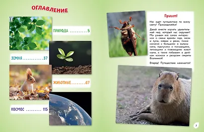 Обо всем на свете! Большая энциклопедия для маленьких - фото 4