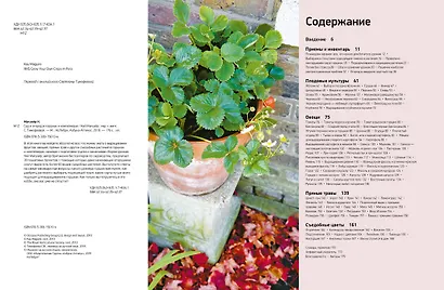 Сад и огород в горшках и контейнерах - фото 8