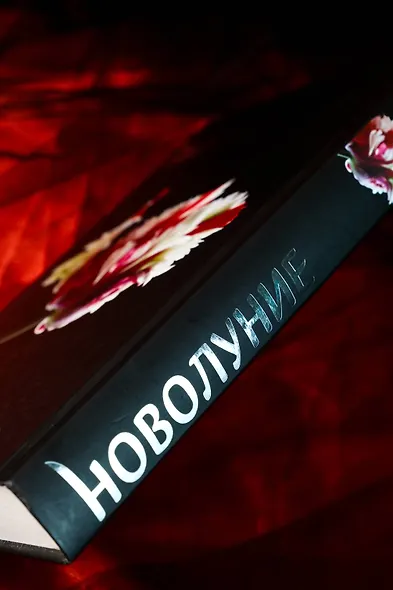 Новолуние (новое оформление) - фото 7