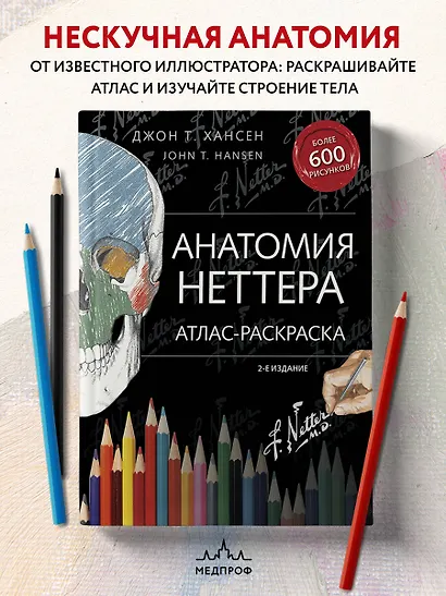Анатомия Неттера: атлас-раскраска - фото 4