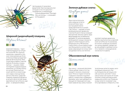 Красная книга России. Все основные виды - фото 11