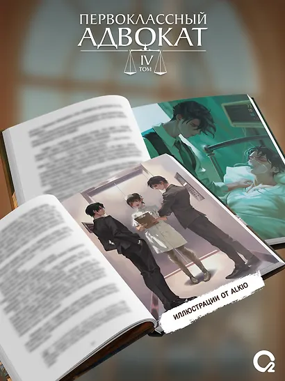 Первоклассный адвокат. Том 4 - фото 3